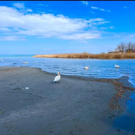 Relax Siofok-sosto שיופוק